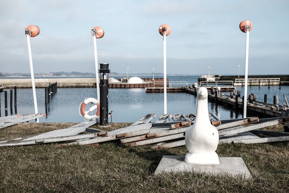 The White Goose