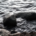 Sea and Rocks.jpg