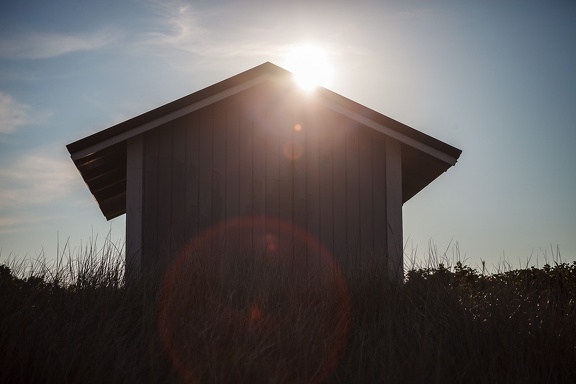 Evening Sun