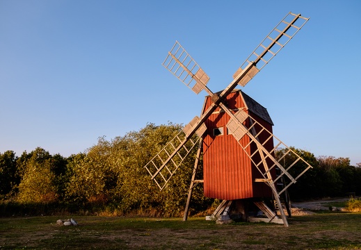 Windmill in sunset