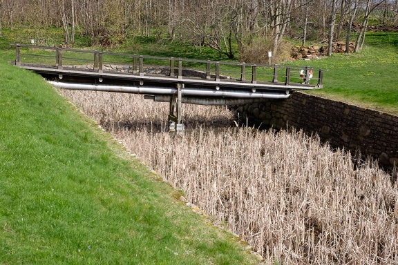 Glimmingehus Garden