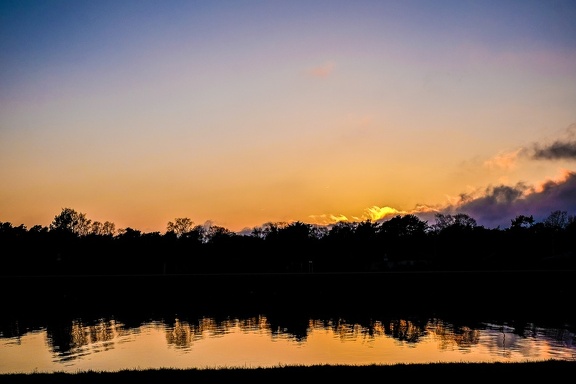 Golden Light