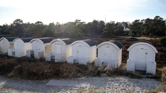 Ljunghusen Beach