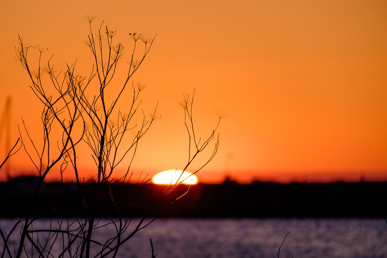 Orange Sunset-2.jpg