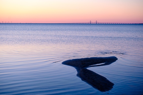 Silent Sea