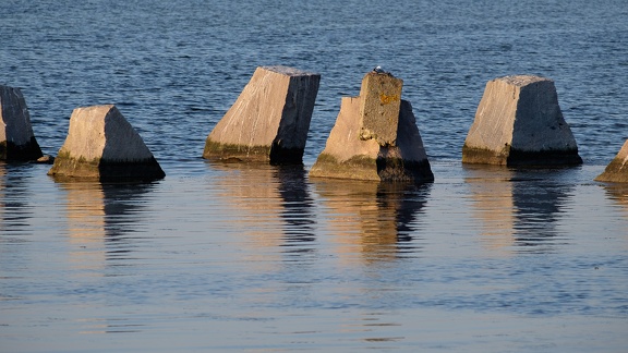 Sea Rocks