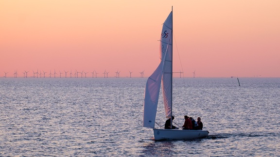 Sunset Sailors
