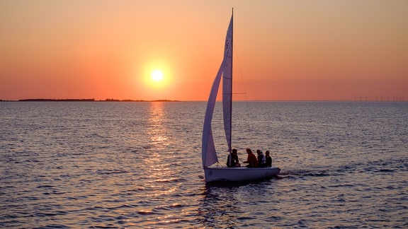 Sunset Sailors