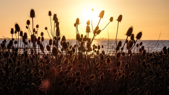 Sunset beach