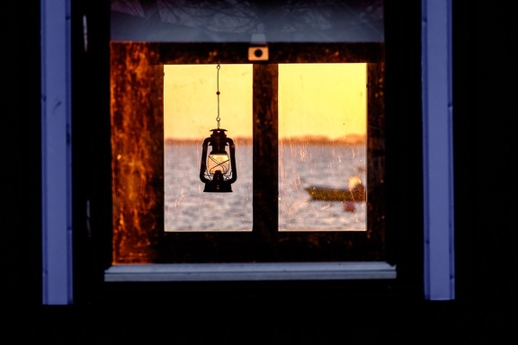 Evening light