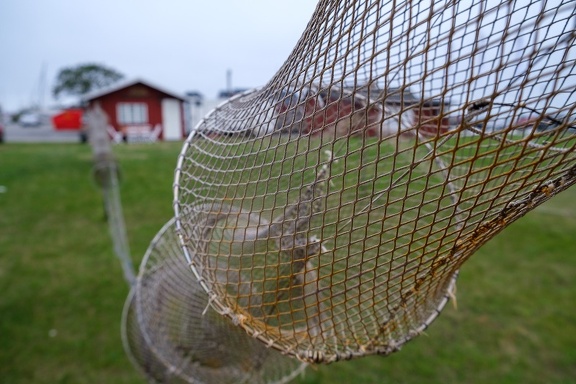 Fishing Equipment