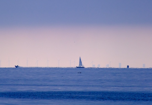 Sailing Øresund