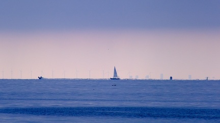 Sailing Øresund