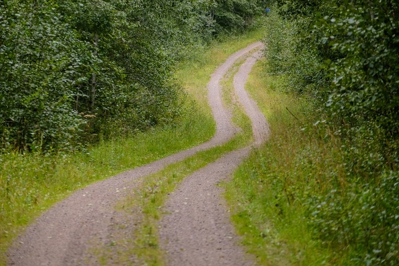 Forest Road