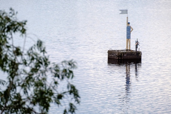 Swimmer