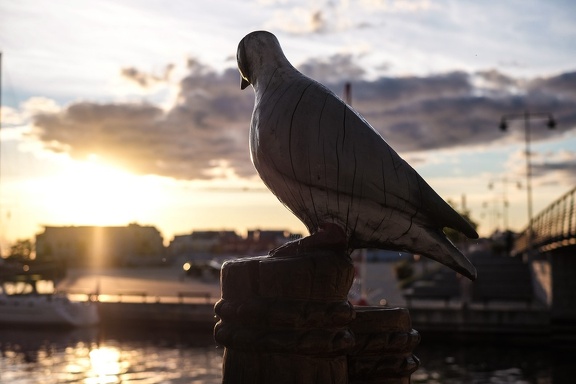 Birds Eye