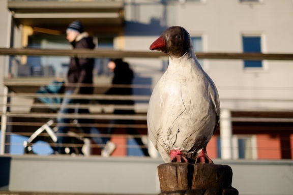 Frozen Bird
