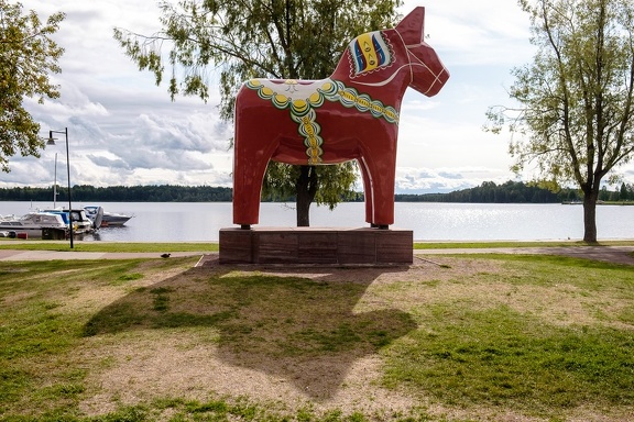 The Horse