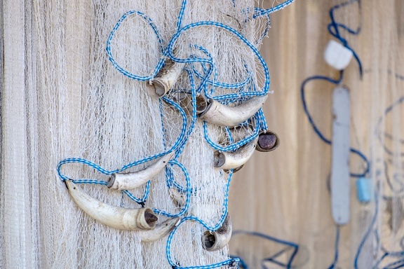 Net and Horn