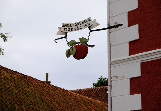 Bergengrenska Trädgården