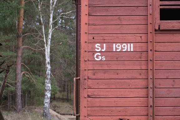 SJ 19911