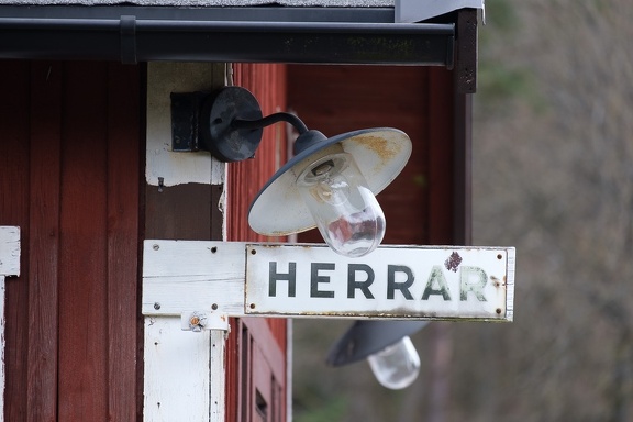 Herrar