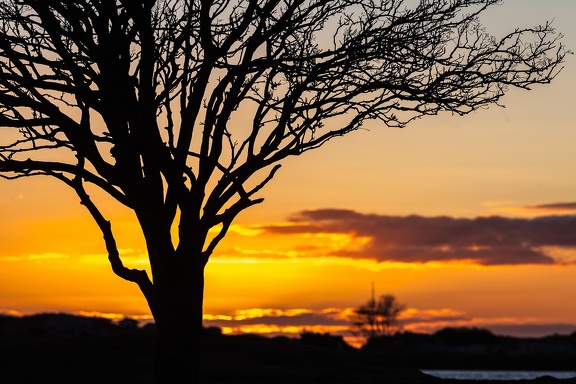 Sunset silhouette