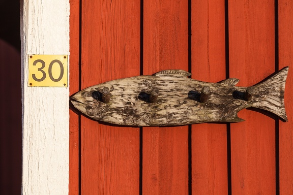 Fish 30