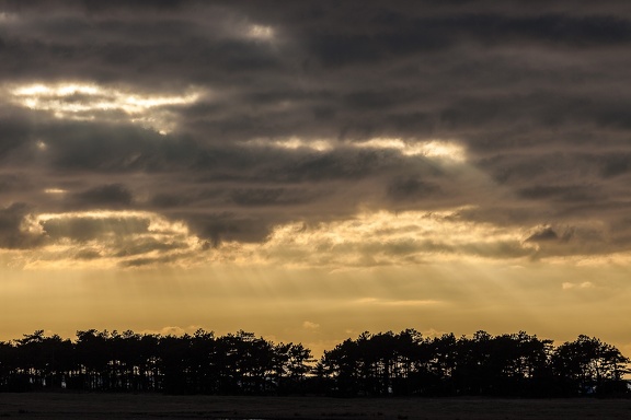 Sunrays