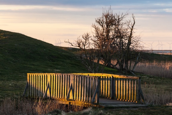 Bridge in sunset