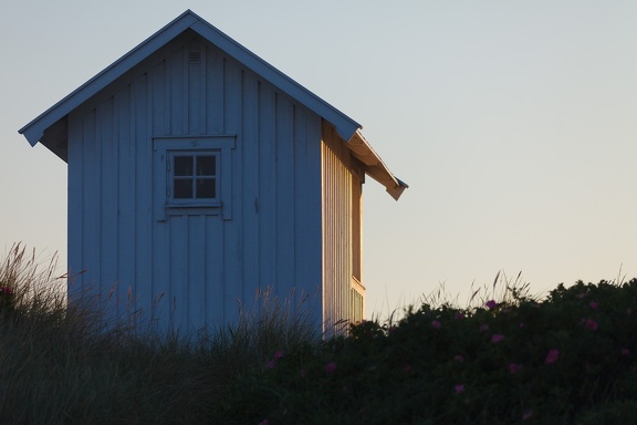 Summer Evening
