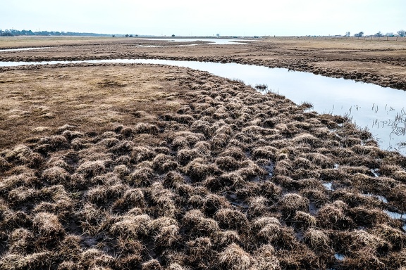Winter field