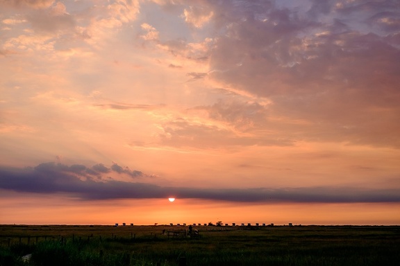 June Sunset