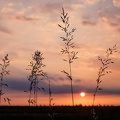 June Sunset-3.jpg