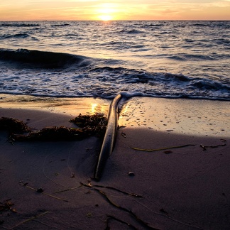 Beach Cable