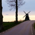 Road to windmill