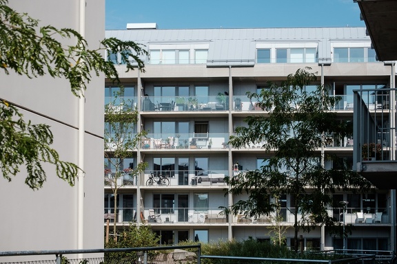 Inner yard