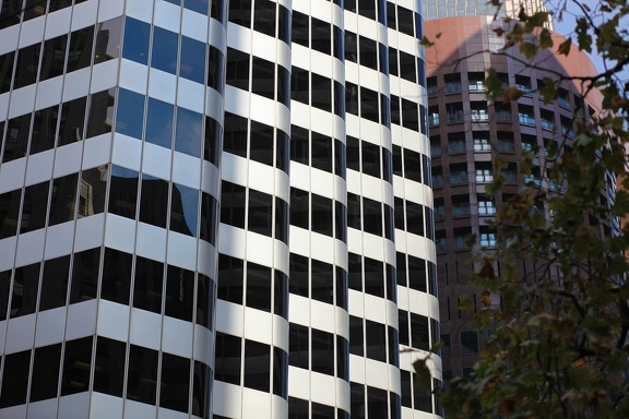 Black windows