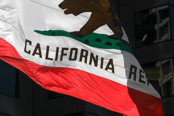 California bear