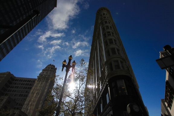 Flatiron cousin