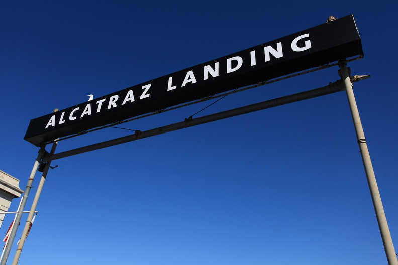 Alcatraz landing.jpg