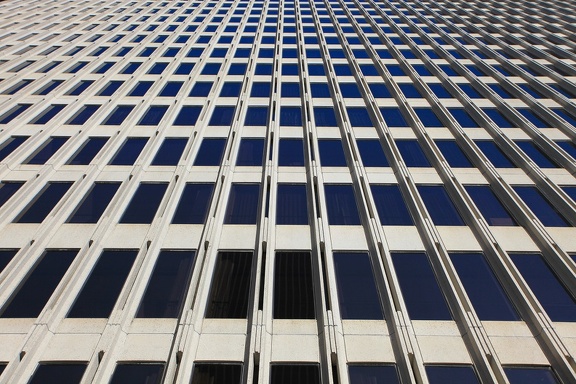 Black windows