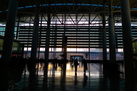 SFO international terminal