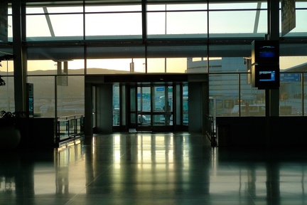 SFO international terminal