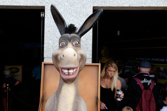 Smiling Donkey