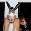 Smiling Donkey