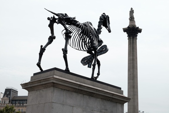 Skeleton