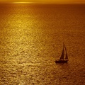 Golden sea.jpg