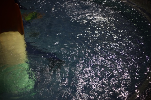 Night pool
