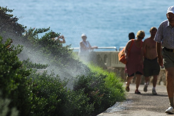 Irrigation